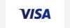 payment methods visa